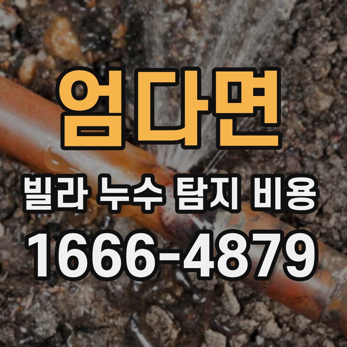 엄다면 빌라 누수 탐지 비용