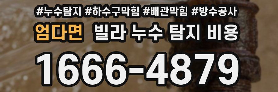 엄다면 빌라 누수 탐지 비용