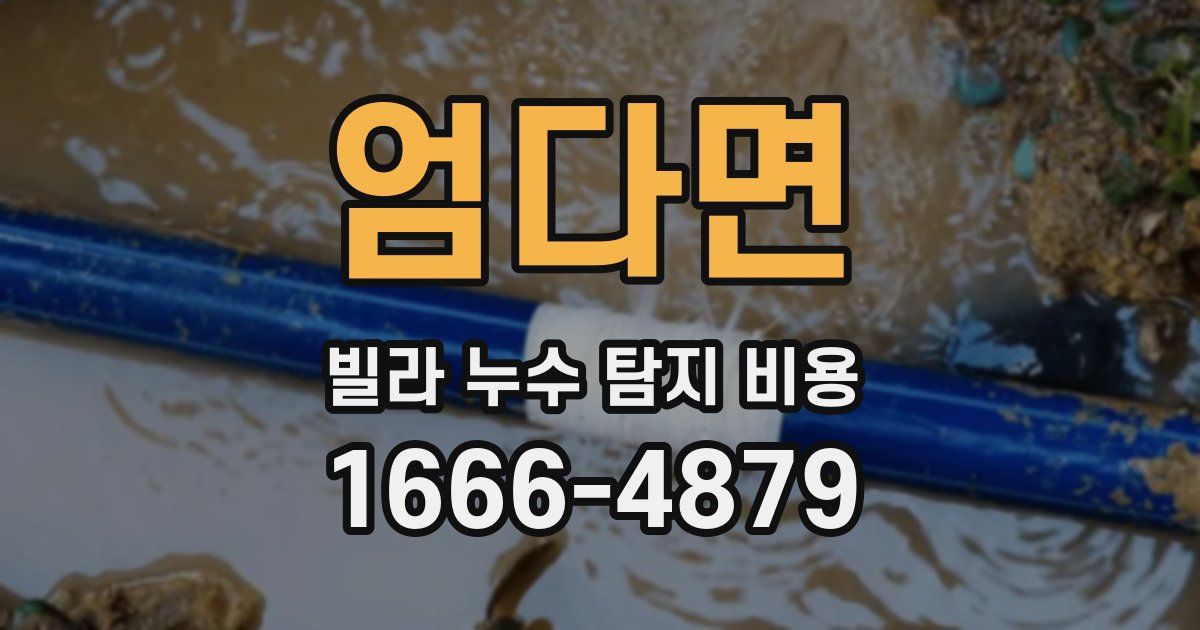 엄다면 빌라 누수 탐지 비용