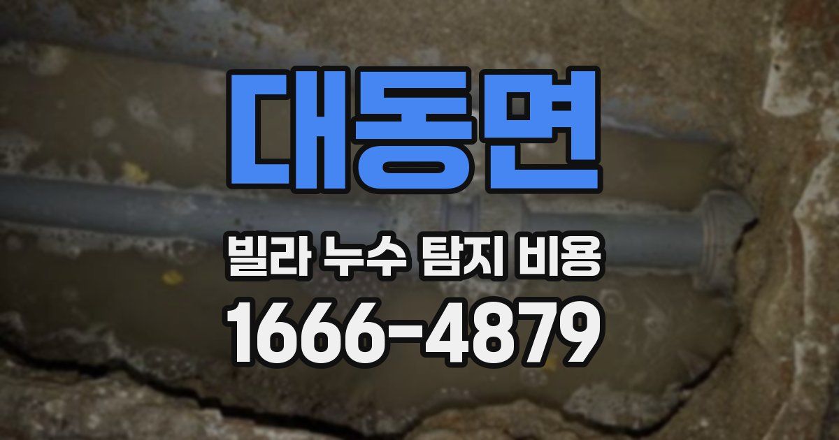 대동면 빌라 누수 탐지 비용