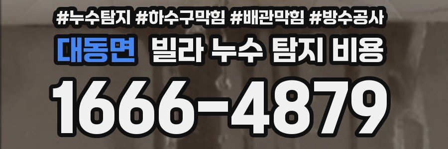 대동면 빌라 누수 탐지 비용