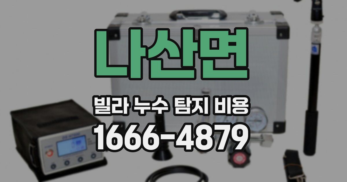 나산면 빌라 누수 탐지 비용
