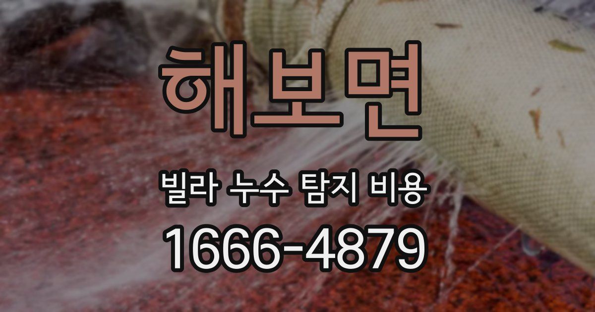 해보면 빌라 누수 탐지 비용