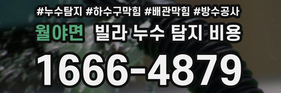 월야면 빌라 누수 탐지 비용