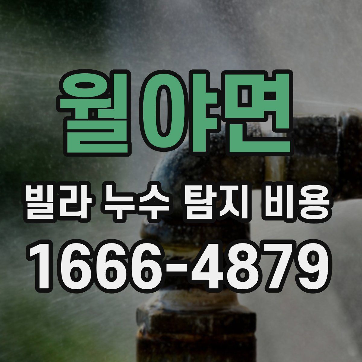 월야면 빌라 누수 탐지 비용