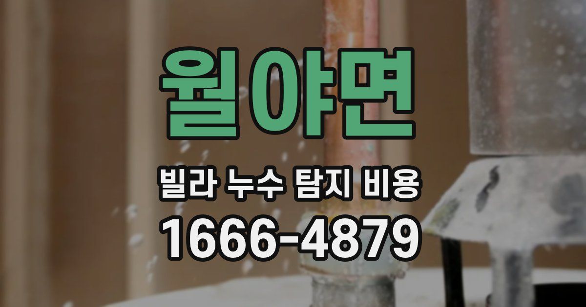 월야면 빌라 누수 탐지 비용