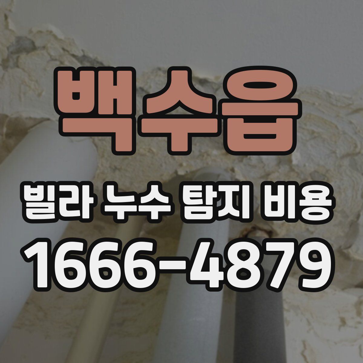 백수읍 빌라 누수 탐지 비용