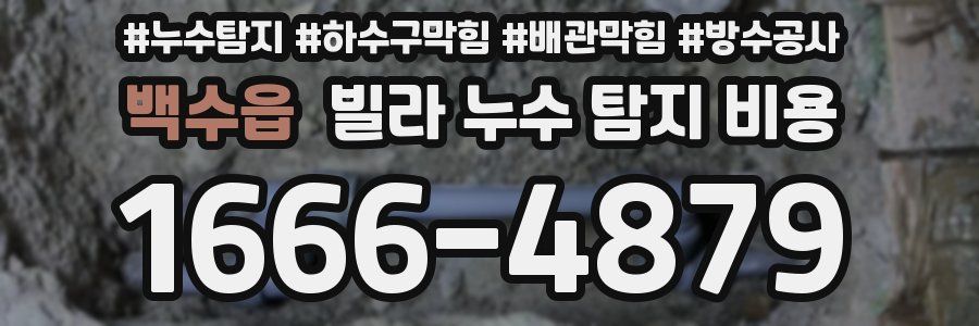 백수읍 빌라 누수 탐지 비용
