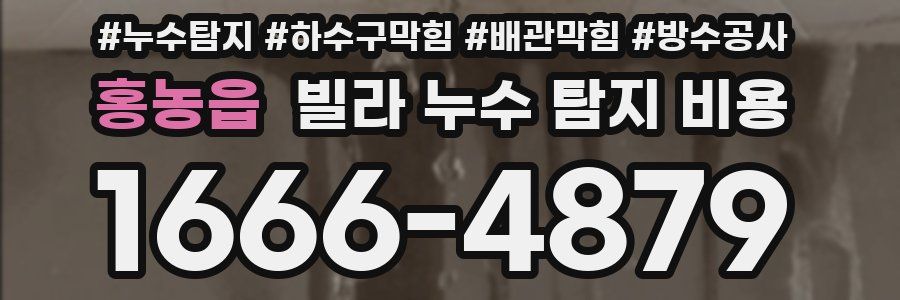 홍농읍 빌라 누수 탐지 비용