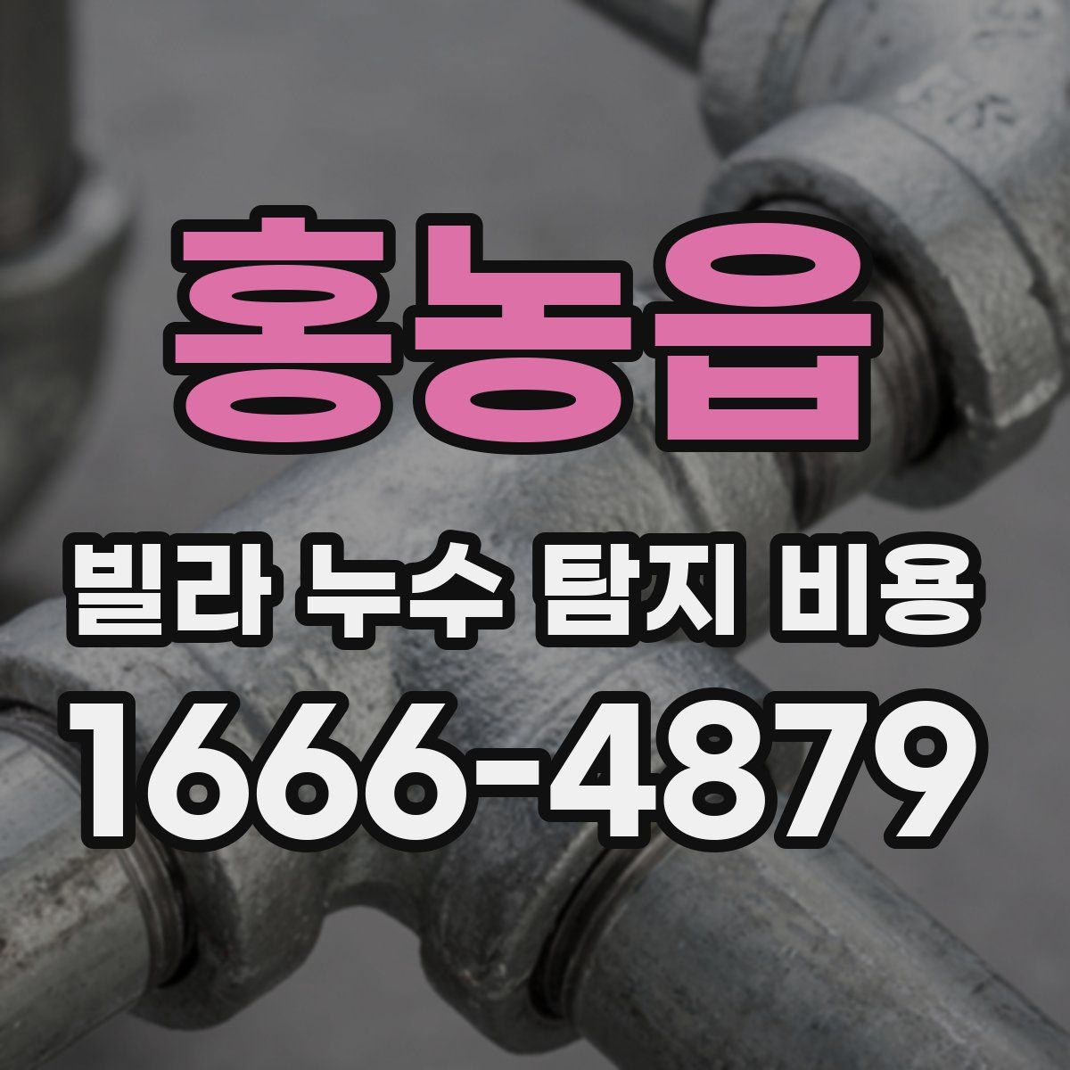 홍농읍 빌라 누수 탐지 비용