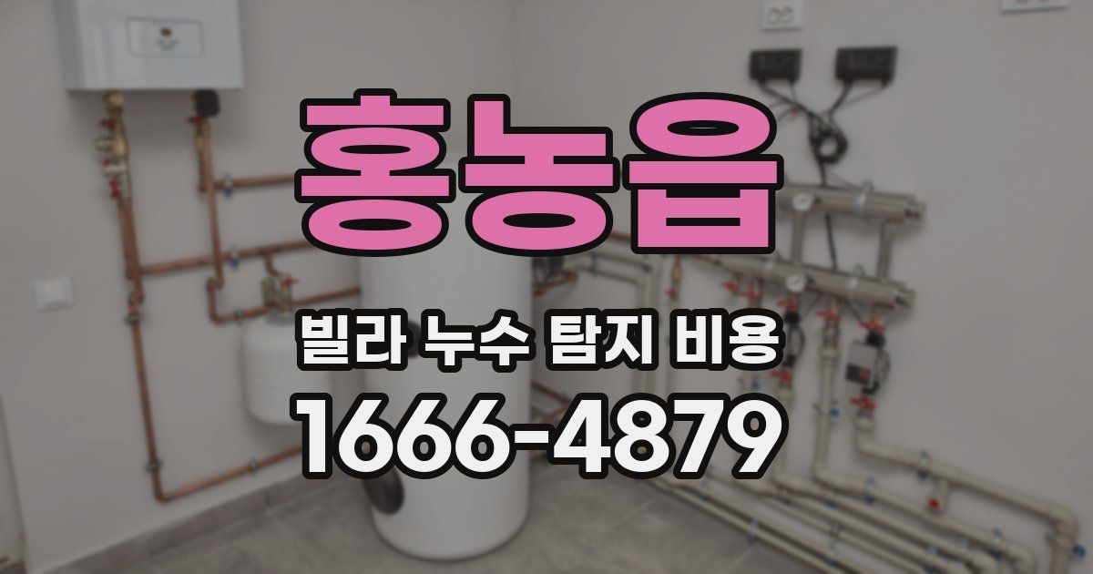 홍농읍 빌라 누수 탐지 비용