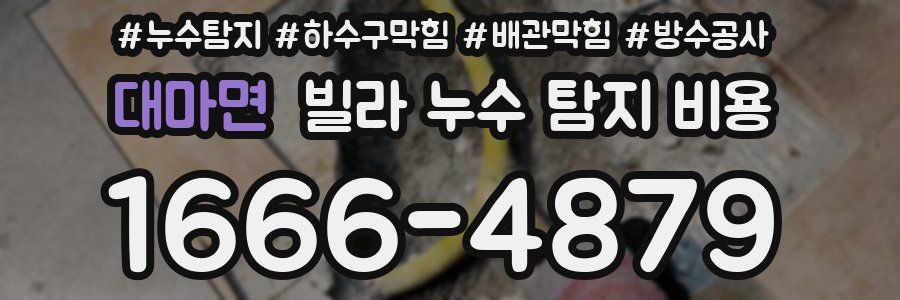 대마면 빌라 누수 탐지 비용