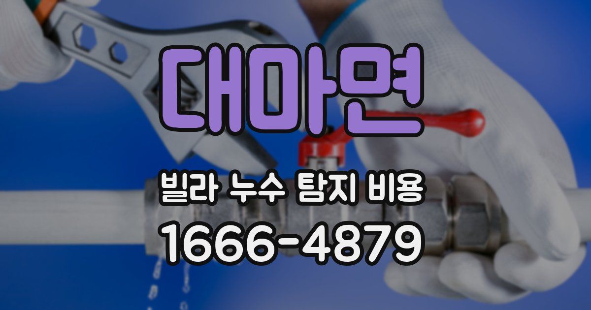 대마면 빌라 누수 탐지 비용