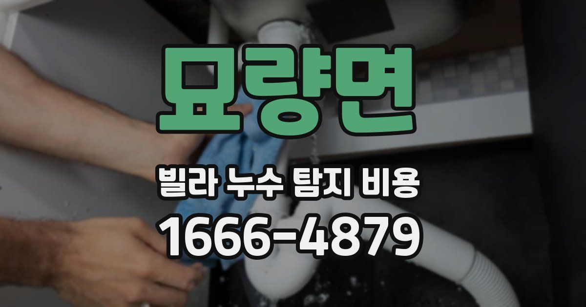 묘량면 빌라 누수 탐지 비용