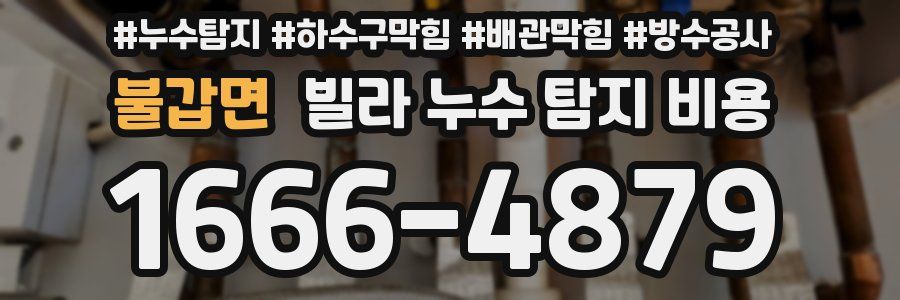 불갑면 빌라 누수 탐지 비용
