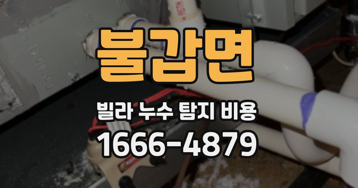 불갑면 빌라 누수 탐지 비용
