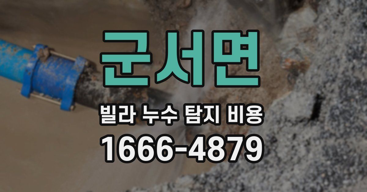 군서면 빌라 누수 탐지 비용