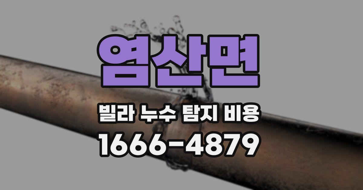 염산면 빌라 누수 탐지 비용