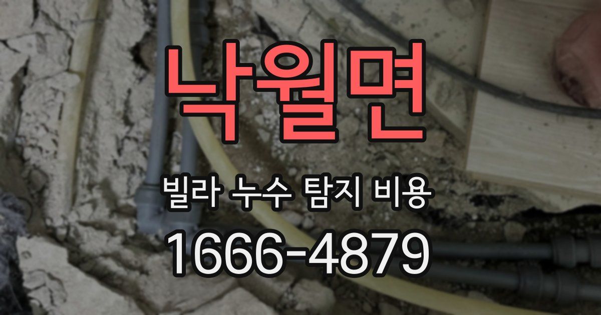 낙월면 빌라 누수 탐지 비용