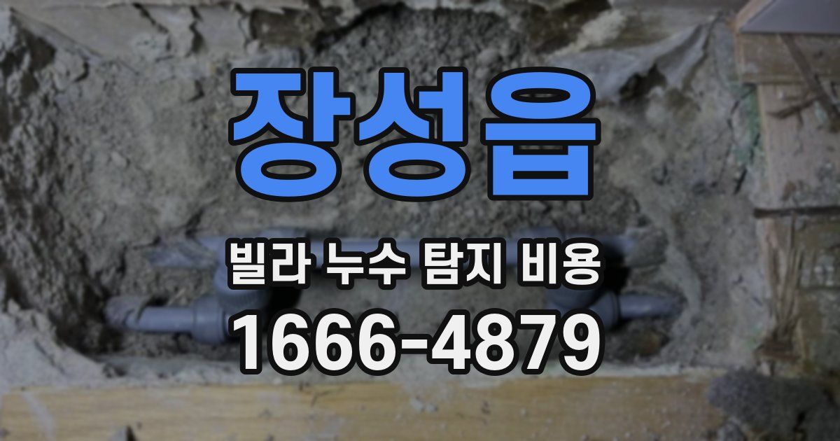 장성읍 빌라 누수 탐지 비용