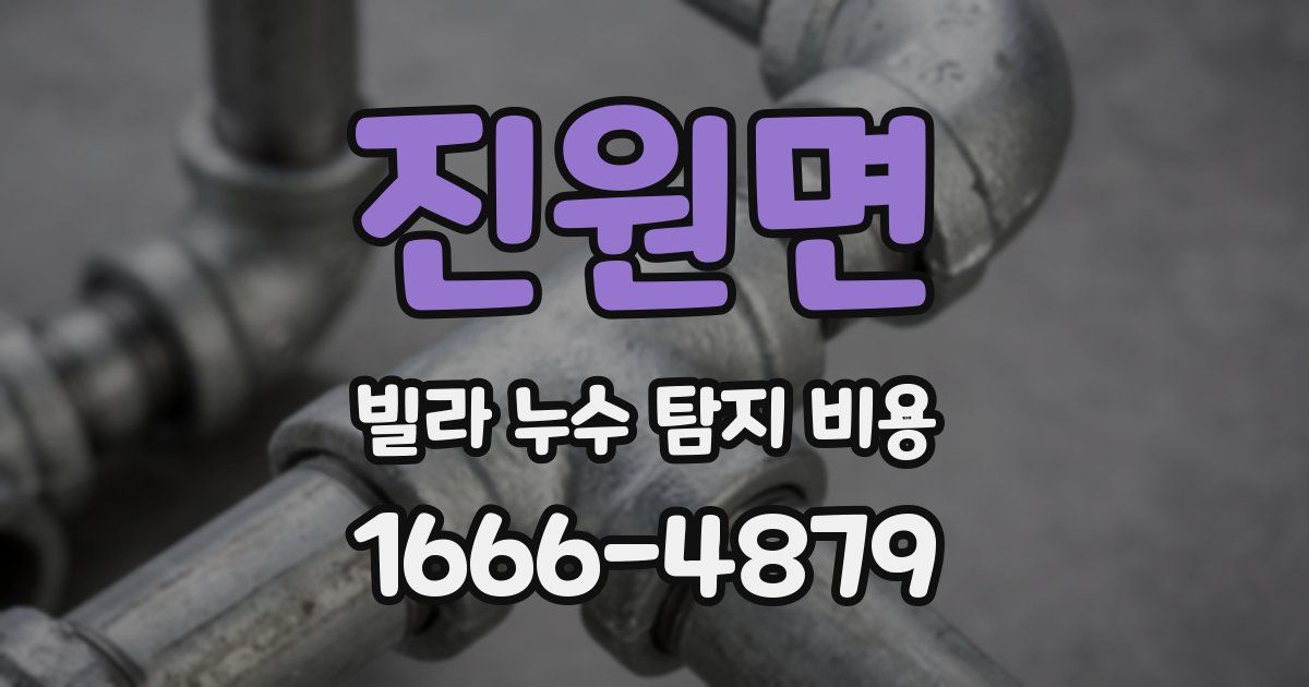 진원면 빌라 누수 탐지 비용