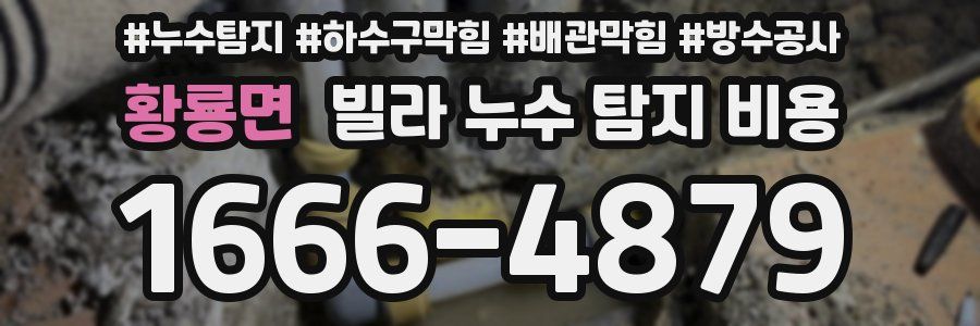황룡면 빌라 누수 탐지 비용