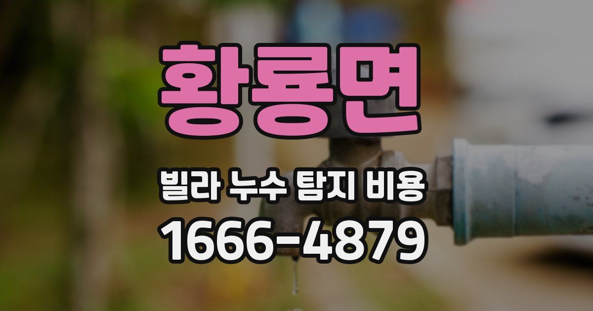 황룡면 빌라 누수 탐지 비용