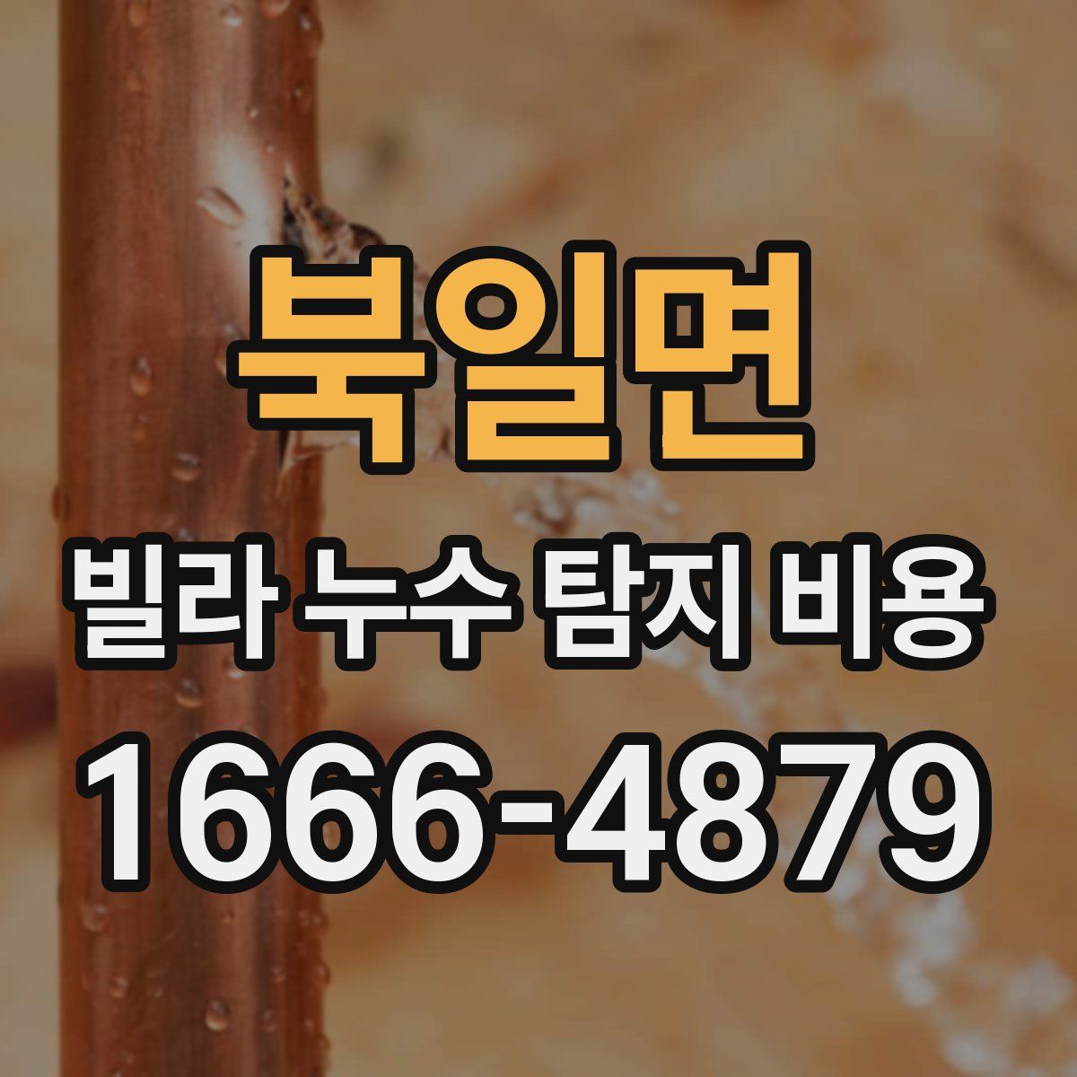 북일면 빌라 누수 탐지 비용