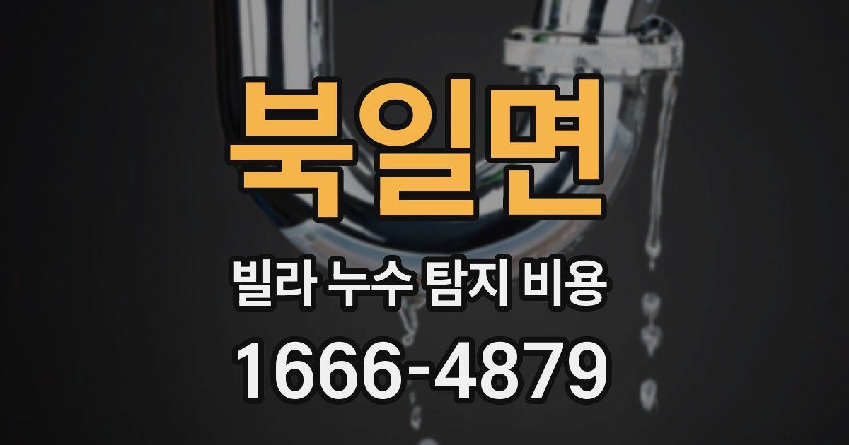 북일면 빌라 누수 탐지 비용