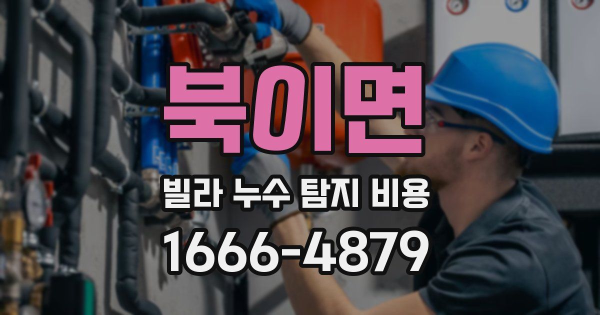 북이면 빌라 누수 탐지 비용