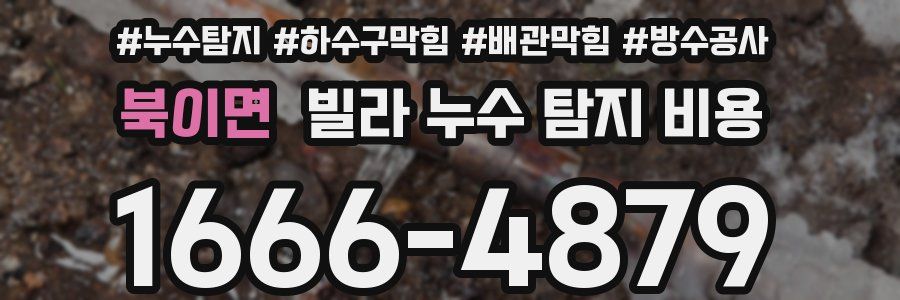 북이면 빌라 누수 탐지 비용