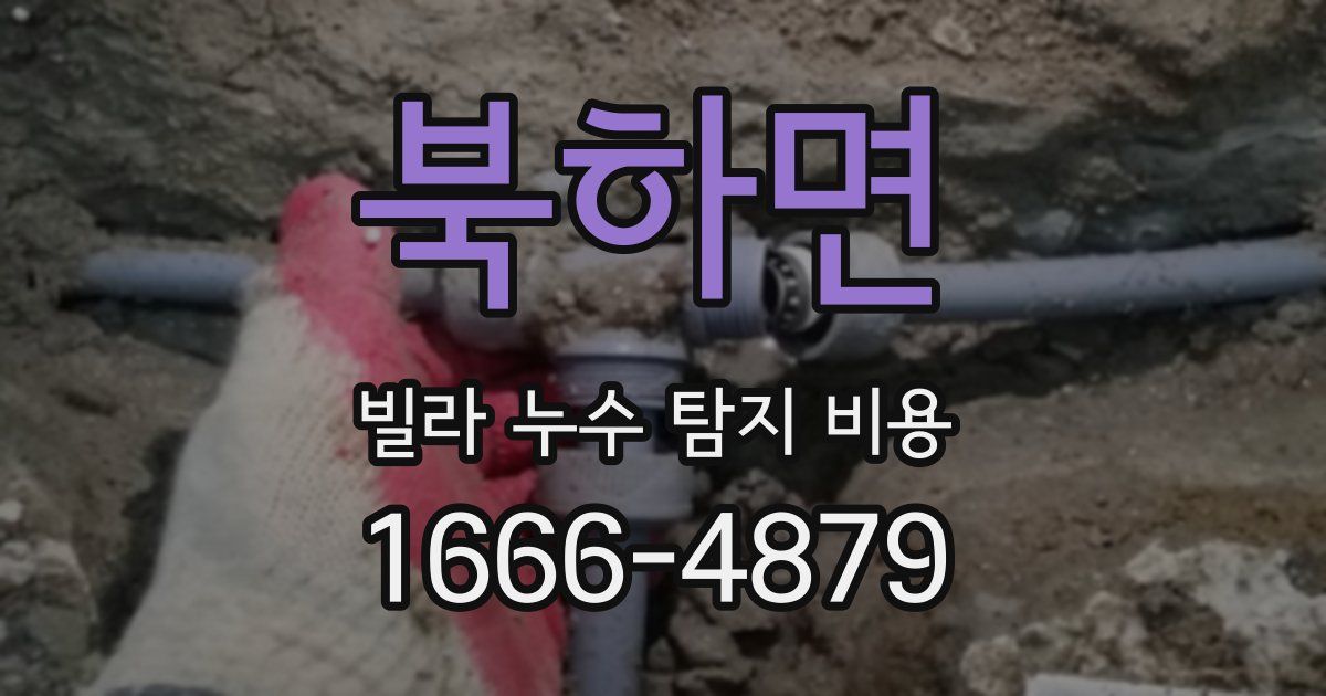 북하면 빌라 누수 탐지 비용