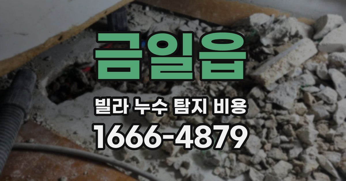 금일읍 빌라 누수 탐지 비용