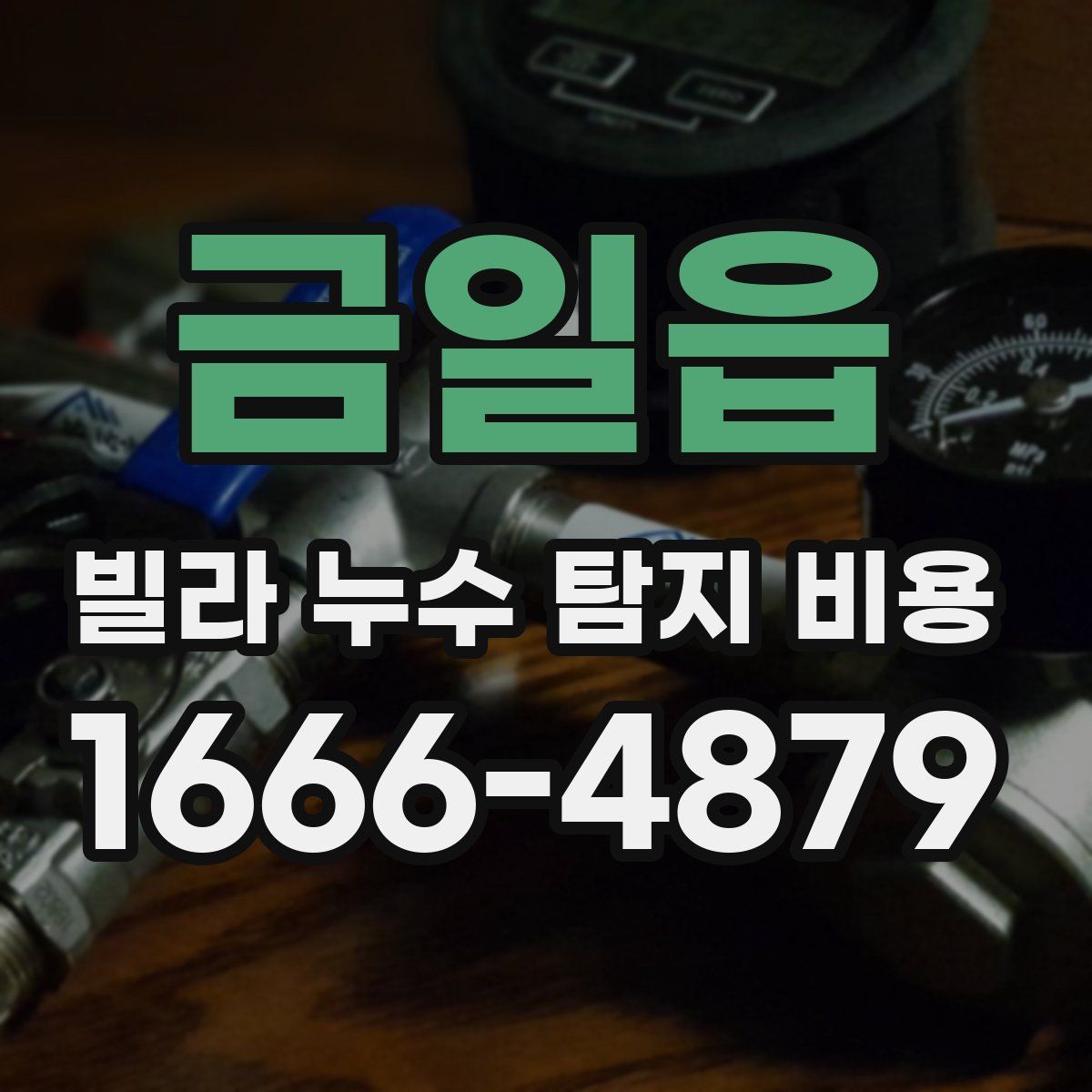 금일읍 빌라 누수 탐지 비용