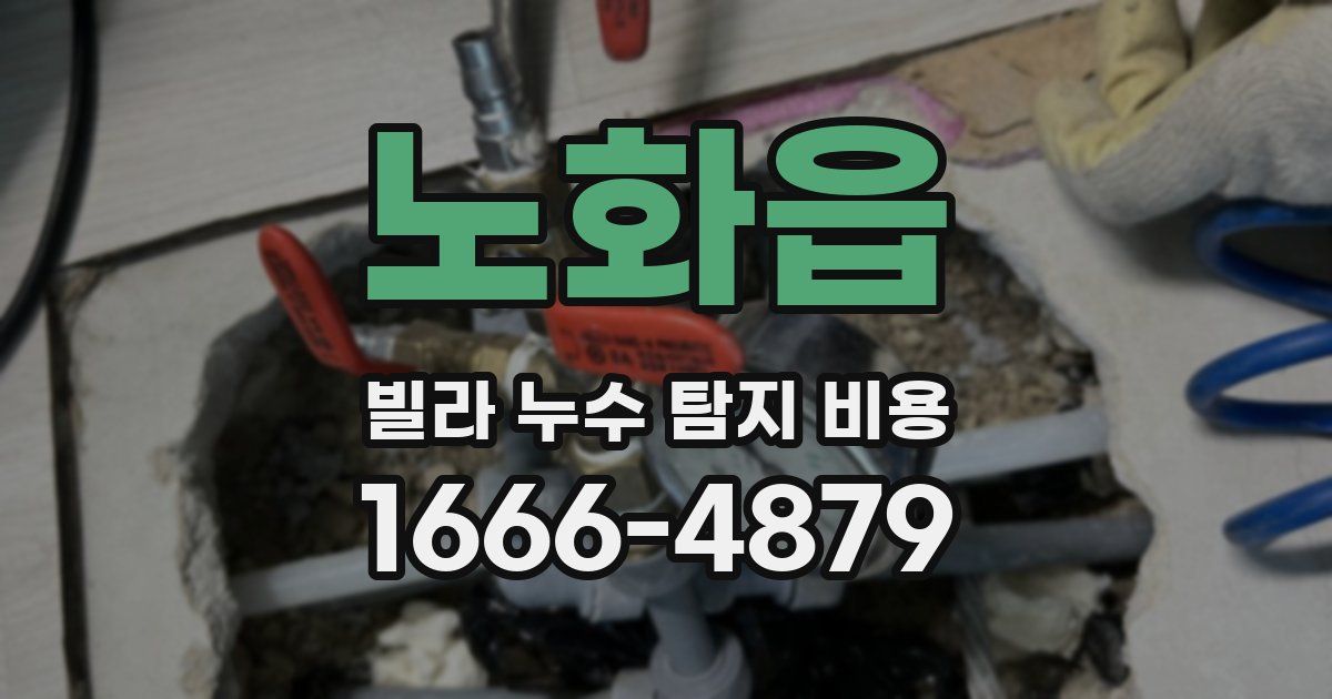 노화읍 빌라 누수 탐지 비용