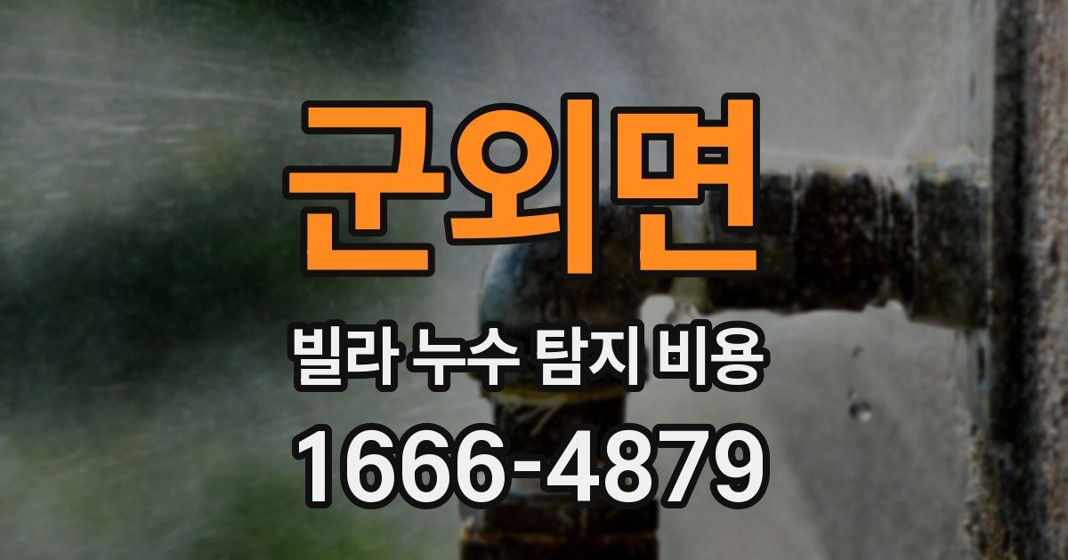 군외면 빌라 누수 탐지 비용