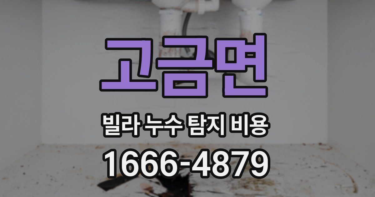 고금면 빌라 누수 탐지 비용