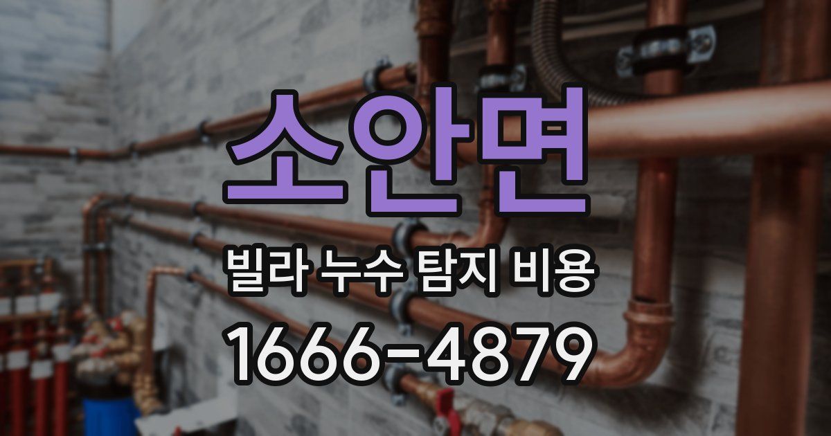 소안면 빌라 누수 탐지 비용