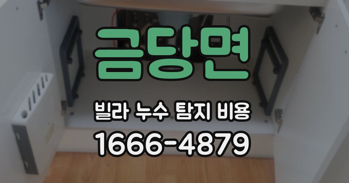 금당면 빌라 누수 탐지 비용