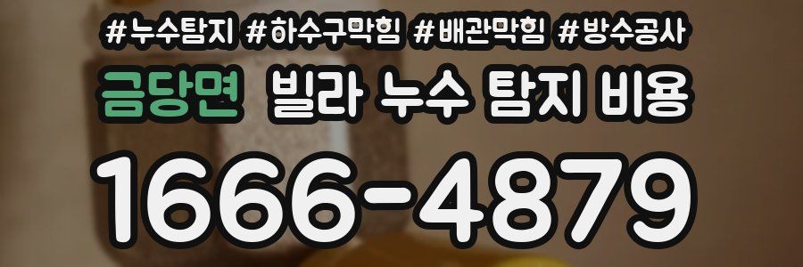 금당면 빌라 누수 탐지 비용
