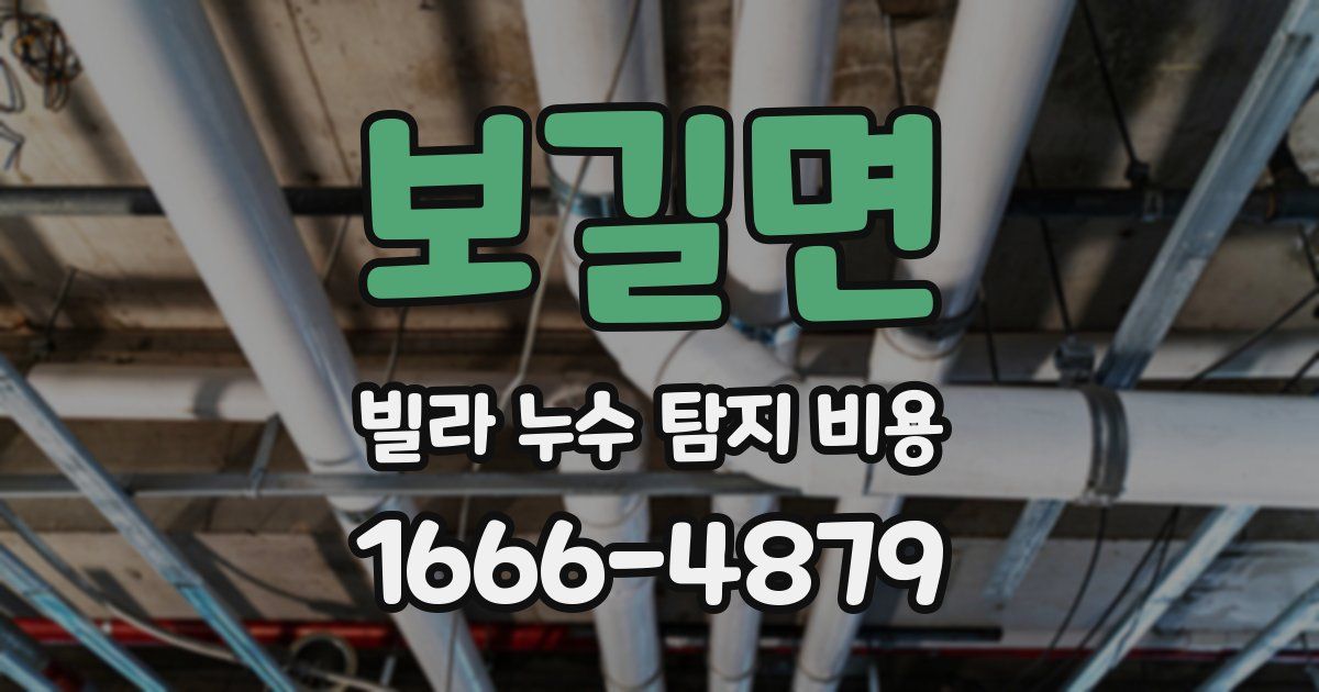 보길면 빌라 누수 탐지 비용