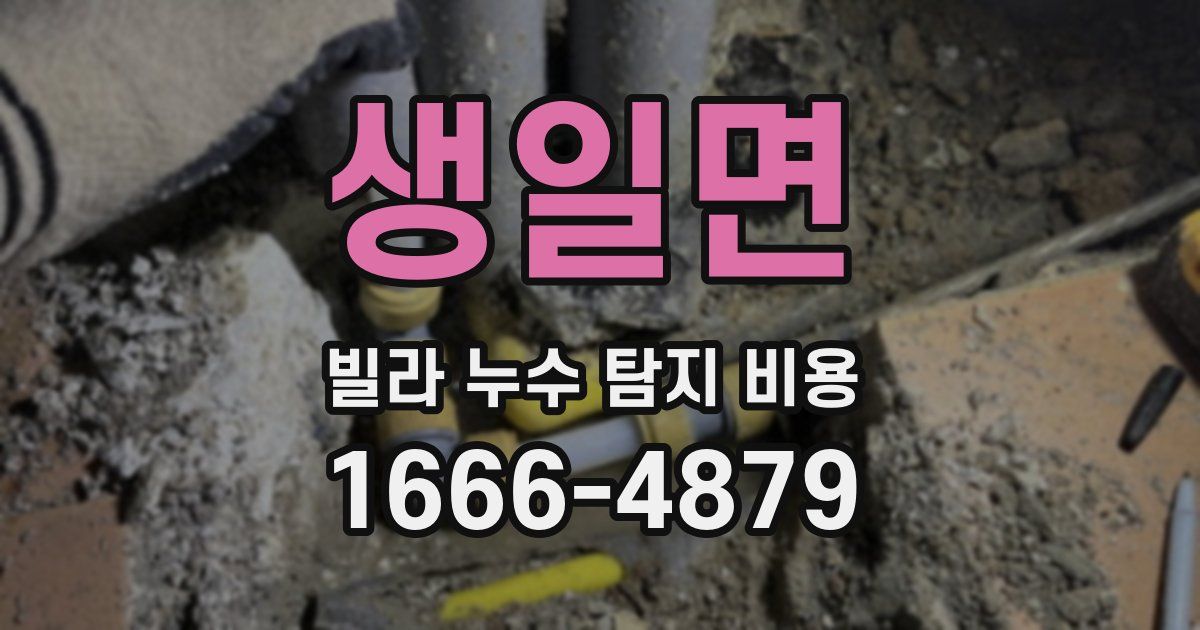 생일면 빌라 누수 탐지 비용