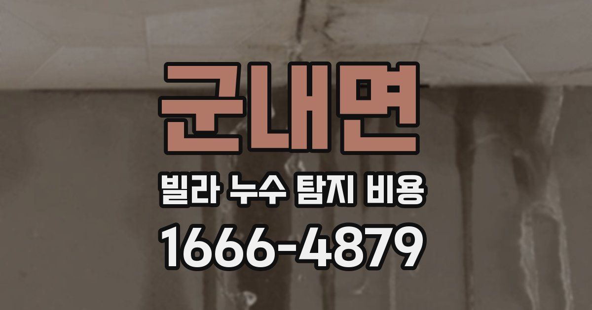 군내면 빌라 누수 탐지 비용