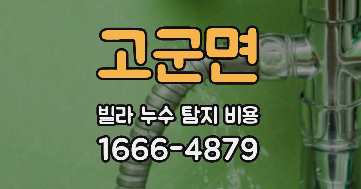 고군면 빌라 누수 탐지 비용