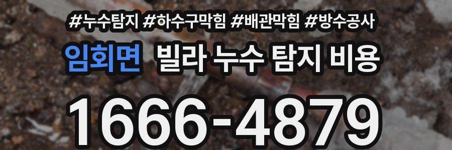 임회면 빌라 누수 탐지 비용