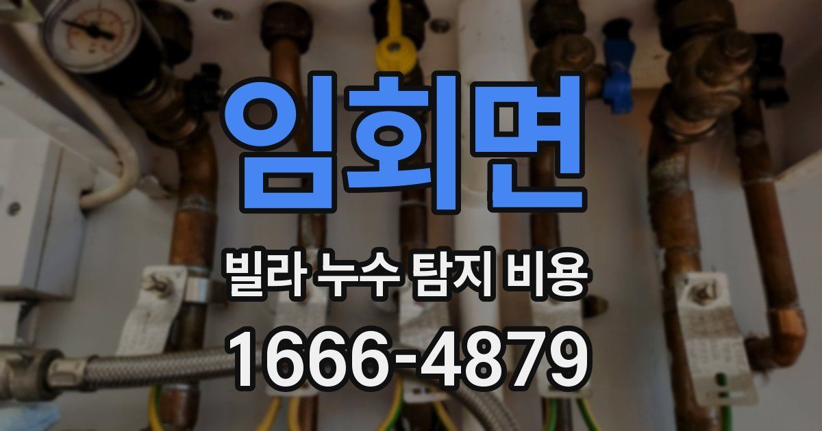임회면 빌라 누수 탐지 비용