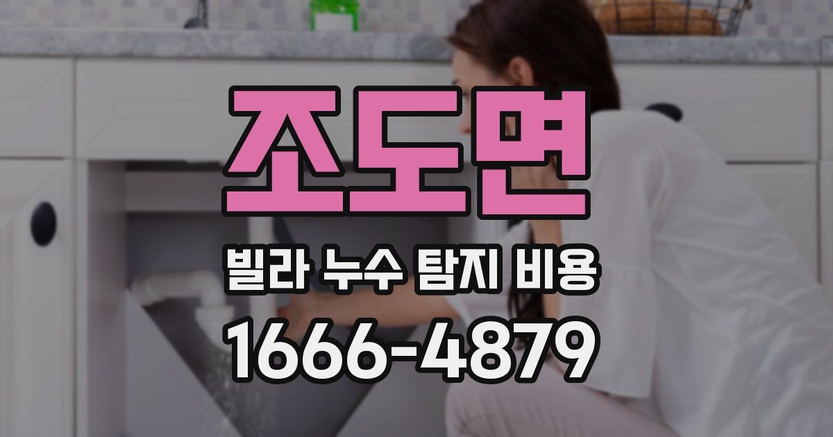 조도면 빌라 누수 탐지 비용