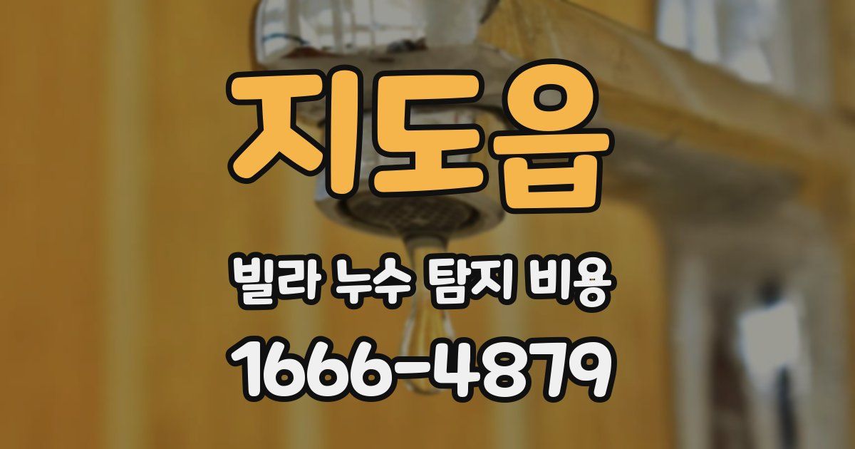 지도읍 빌라 누수 탐지 비용