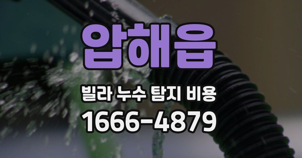 압해읍 빌라 누수 탐지 비용