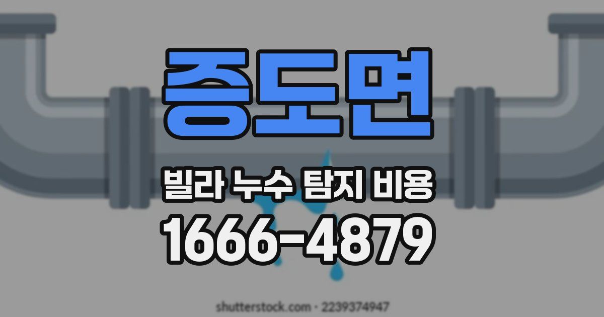 증도면 빌라 누수 탐지 비용